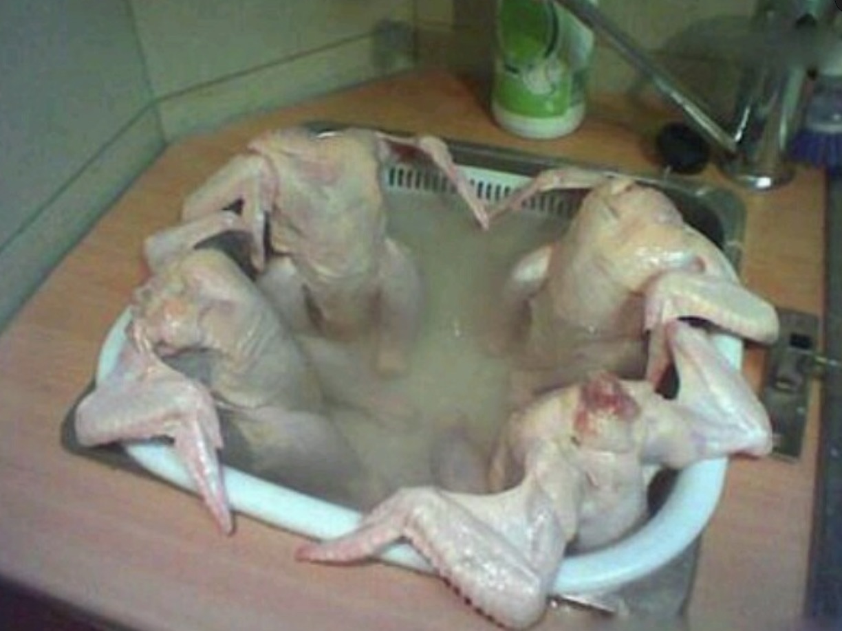 cursed thanksgiving meals